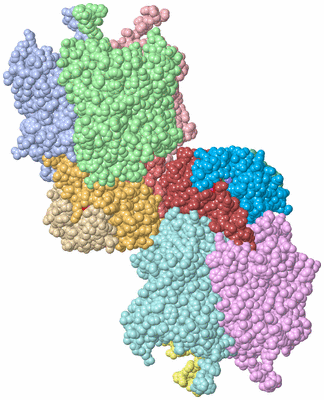 Image Biological Unit 4