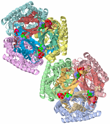 Image Biological Unit 5