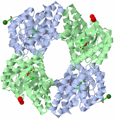 Image Biol. Unit 1 - sites