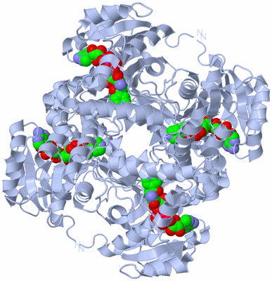 Image Biological Unit 1