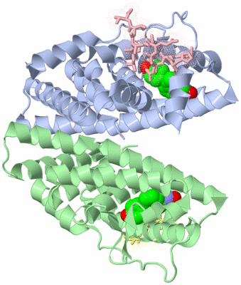 Image Asym./Biol. Unit