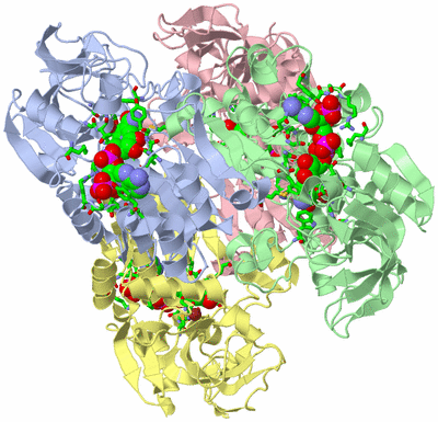 Image Biol. Unit 1 - sites