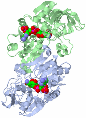 Image Biological Unit 2