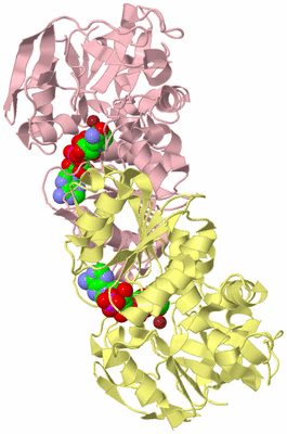 Image Biological Unit 3