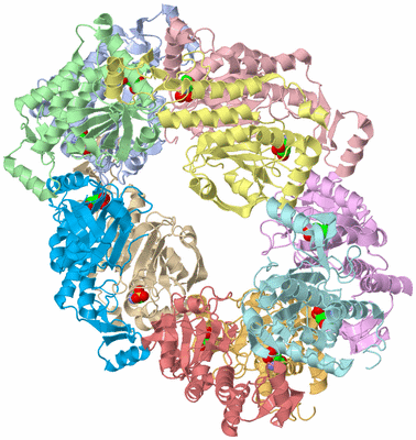 Image Asym./Biol. Unit