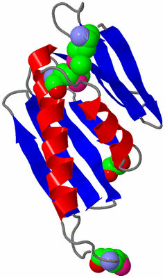 Image Asymmetric Unit