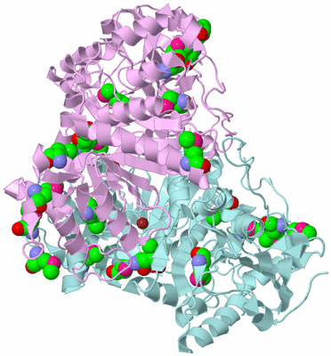 Image Biological Unit 3