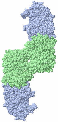 Image Biological Unit 3