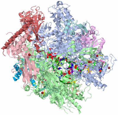 Image Asym./Biol. Unit