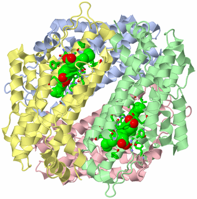 Image Asym./Biol. Unit - sites