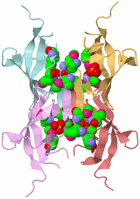 Image Biological Unit 2