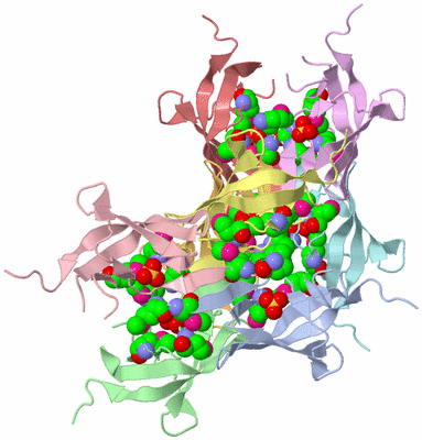 Image Biological Unit 3