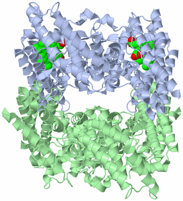 Image Biological Unit 1