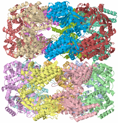 Image Asym./Biol. Unit