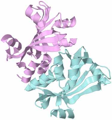 Image Biological Unit 3