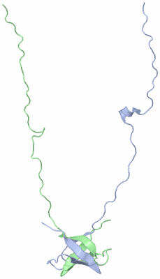 Image NMR Structure - model 1