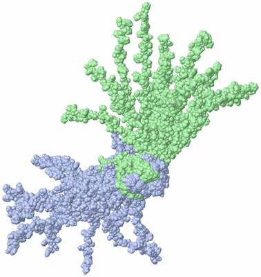 Image NMR Structure - all models