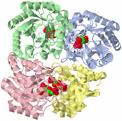 Image Biological Unit 1