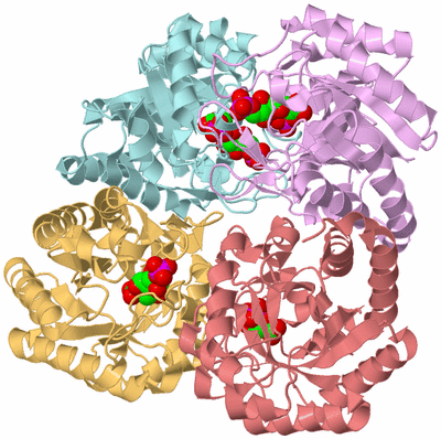 Image Biological Unit 2