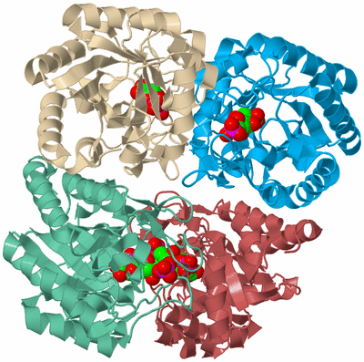 Image Biological Unit 3