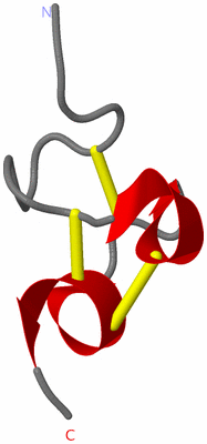 Image NMR Structure - model 1