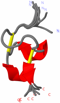 Image NMR Structure - all models