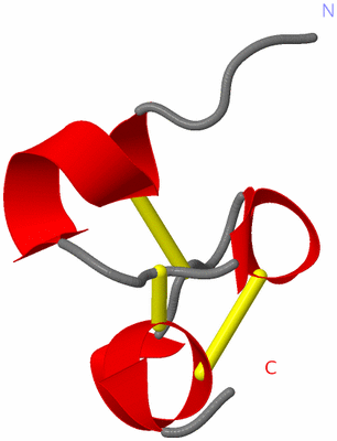 Image NMR Structure - model 1