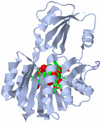 Image Biol. Unit 1 - sites