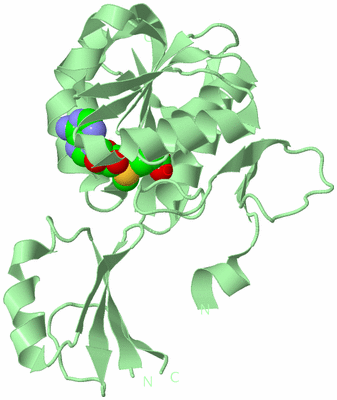 Image Biological Unit 2