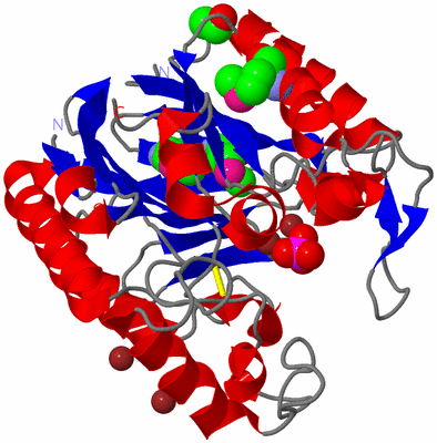 Image Asym./Biol. Unit