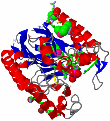 Image Asym./Biol. Unit - sites