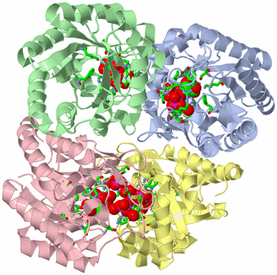 Image Biol. Unit 1 - sites