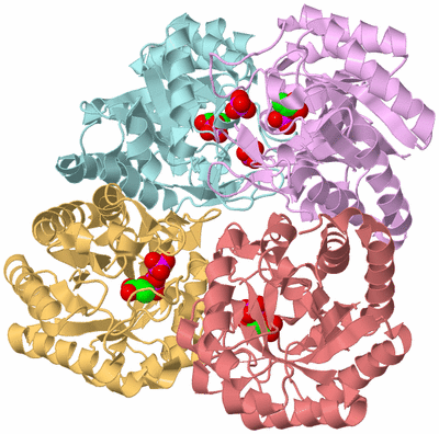 Image Biological Unit 2