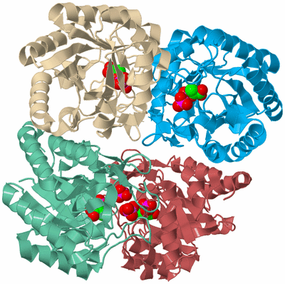 Image Biological Unit 3