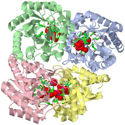 Image Biol. Unit 1 - sites