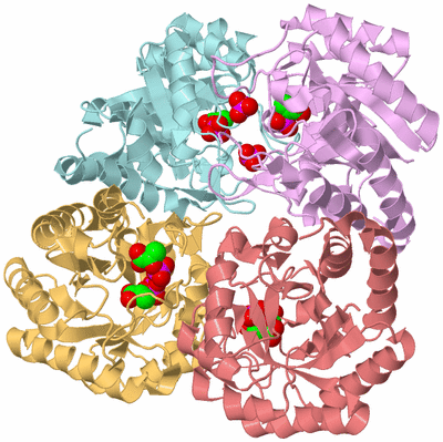 Image Biological Unit 2