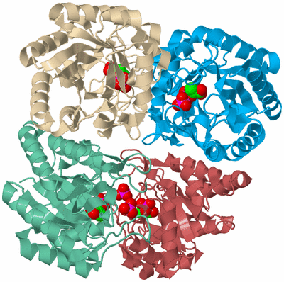 Image Biological Unit 3