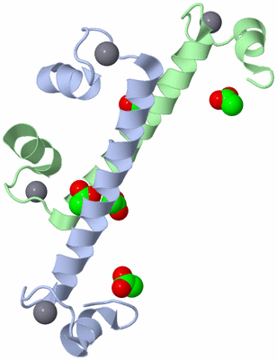 Image Asymmetric Unit