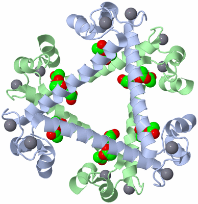 Image Biological Unit 3