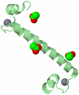 Image Biological Unit 5