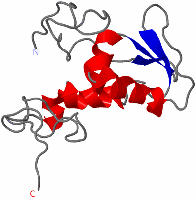 Image NMR Structure - model 1