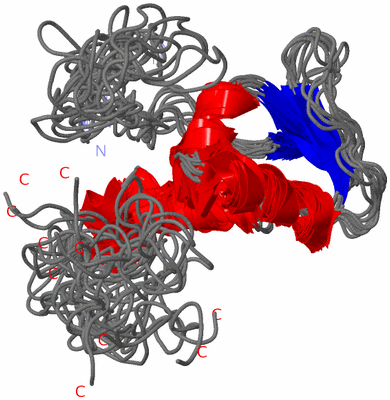 Image NMR Structure - all models