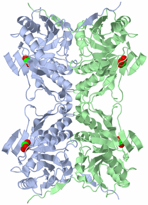 Image Biological Unit 2