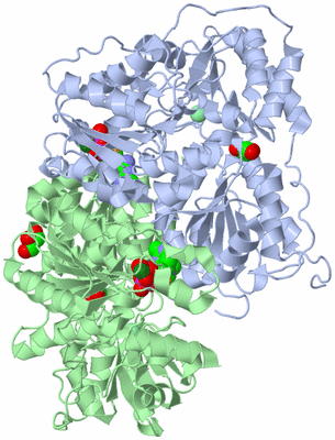 Image Biological Unit 2