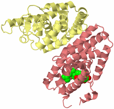 Image Biological Unit 4