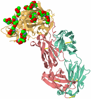 Image Biological Unit 1