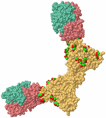 Image Biological Unit 3