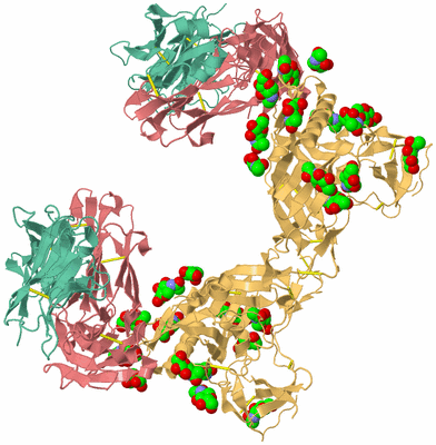 Image Biological Unit 4