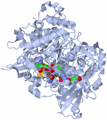 Image Biological Unit 1