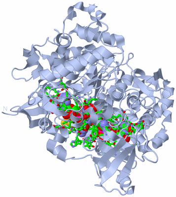 Image Biol. Unit 1 - sites